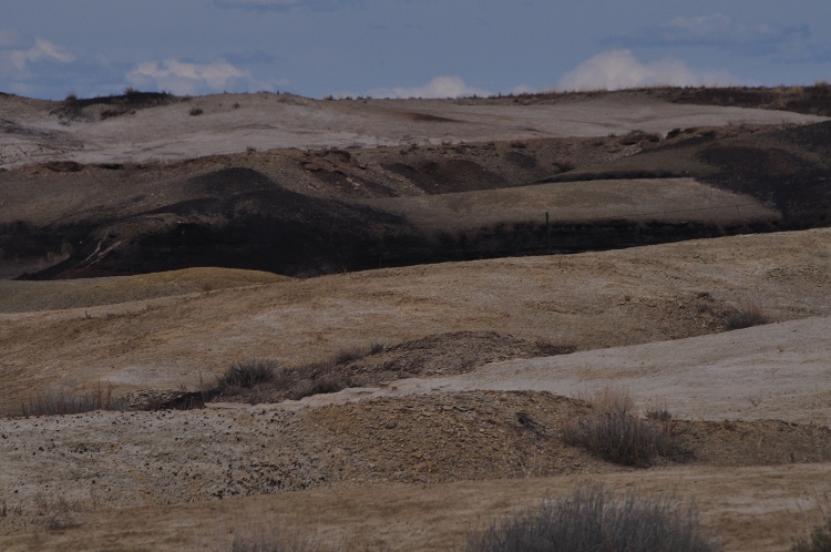 bisti wilderness